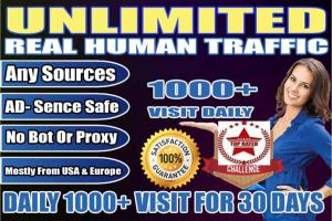 Portfolio for Drive 1000 USA Traffic Daily for 30 Days